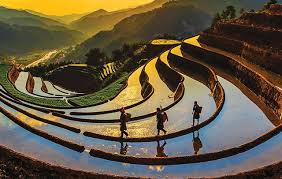 Tin nổi bật Image